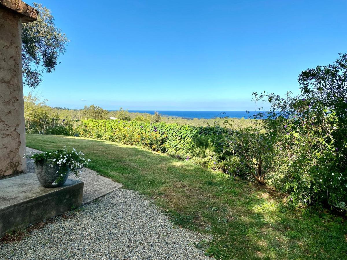 Domaine Punta Della Guardia Villa Panorama Maquis Et Mer, Plage A 1,5 Km سيرفيون المظهر الخارجي الصورة