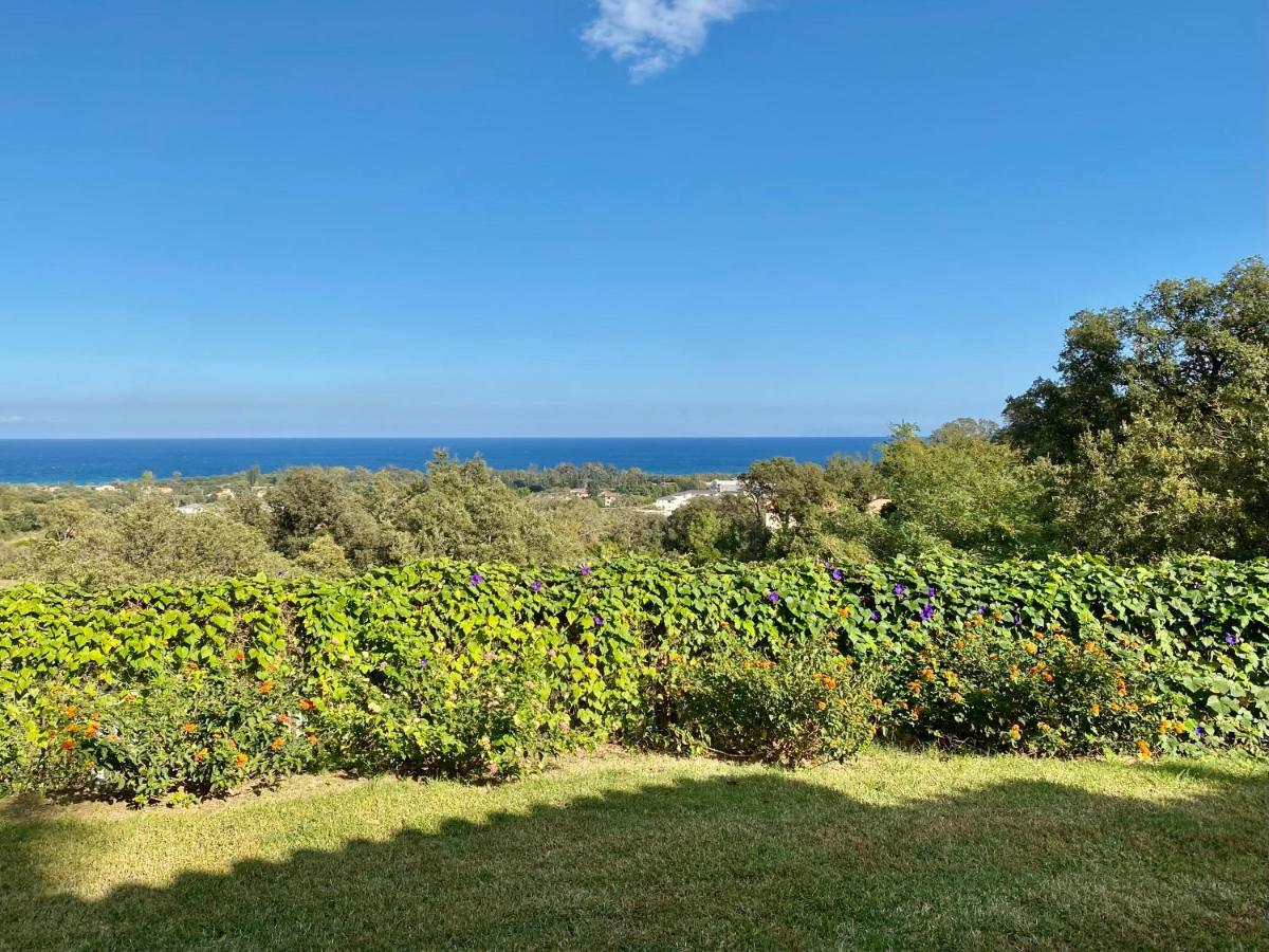 Domaine Punta Della Guardia Villa Panorama Maquis Et Mer, Plage A 1,5 Km سيرفيون المظهر الخارجي الصورة